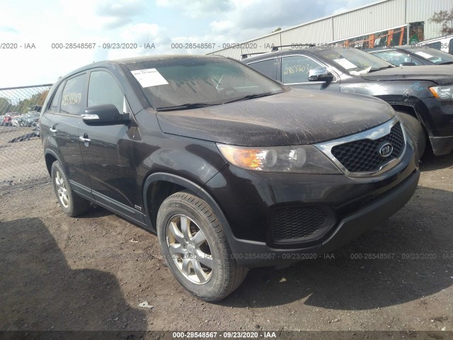2011 kia sorento