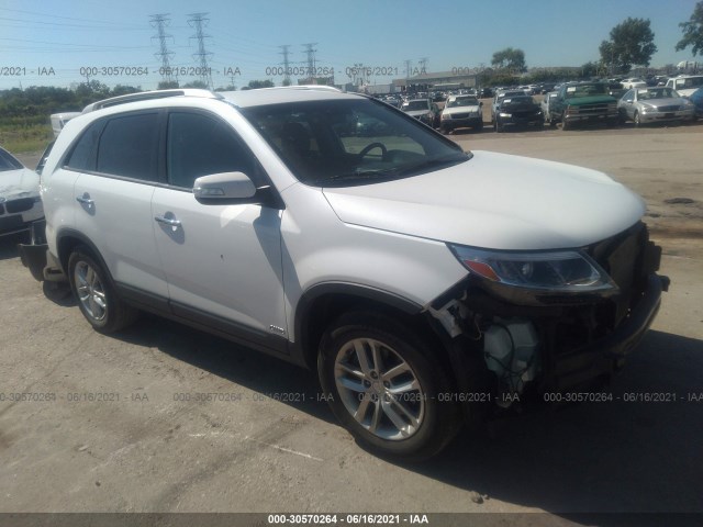 2014 kia sorento