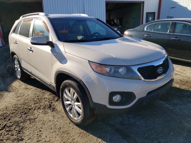 2010 kia sorento ex