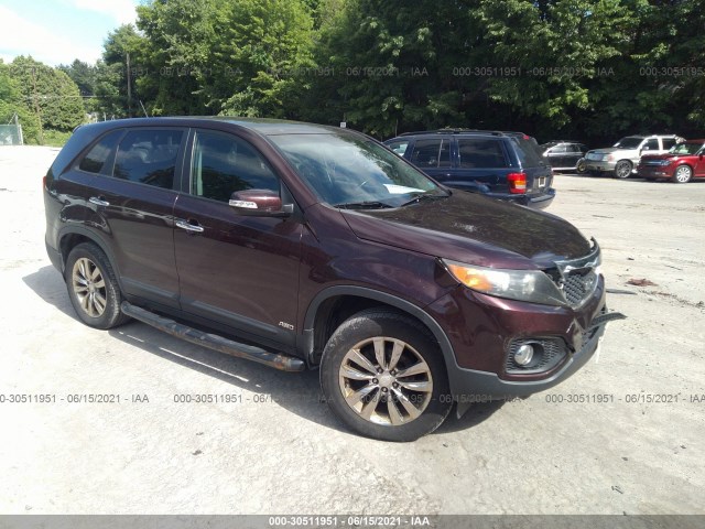 2010 kia sorento