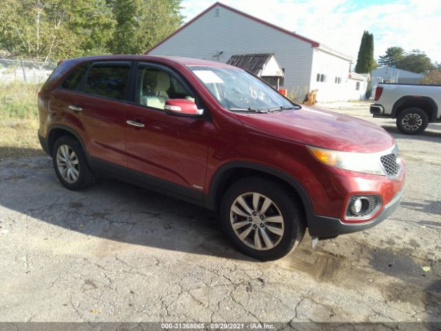 2010 kia sorento