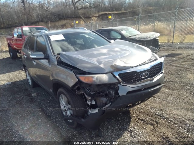 2010 kia sorento
