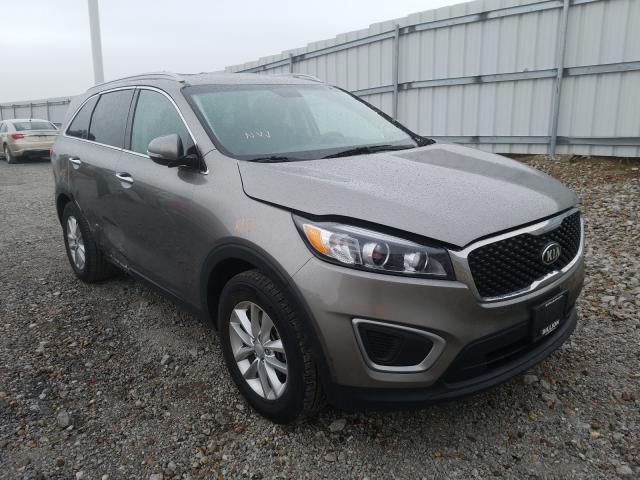 2015 kia sorento