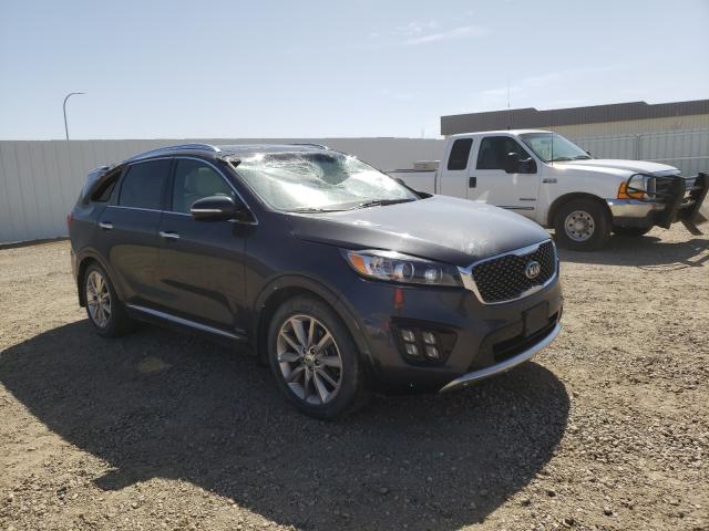 2016 kia sorento sx