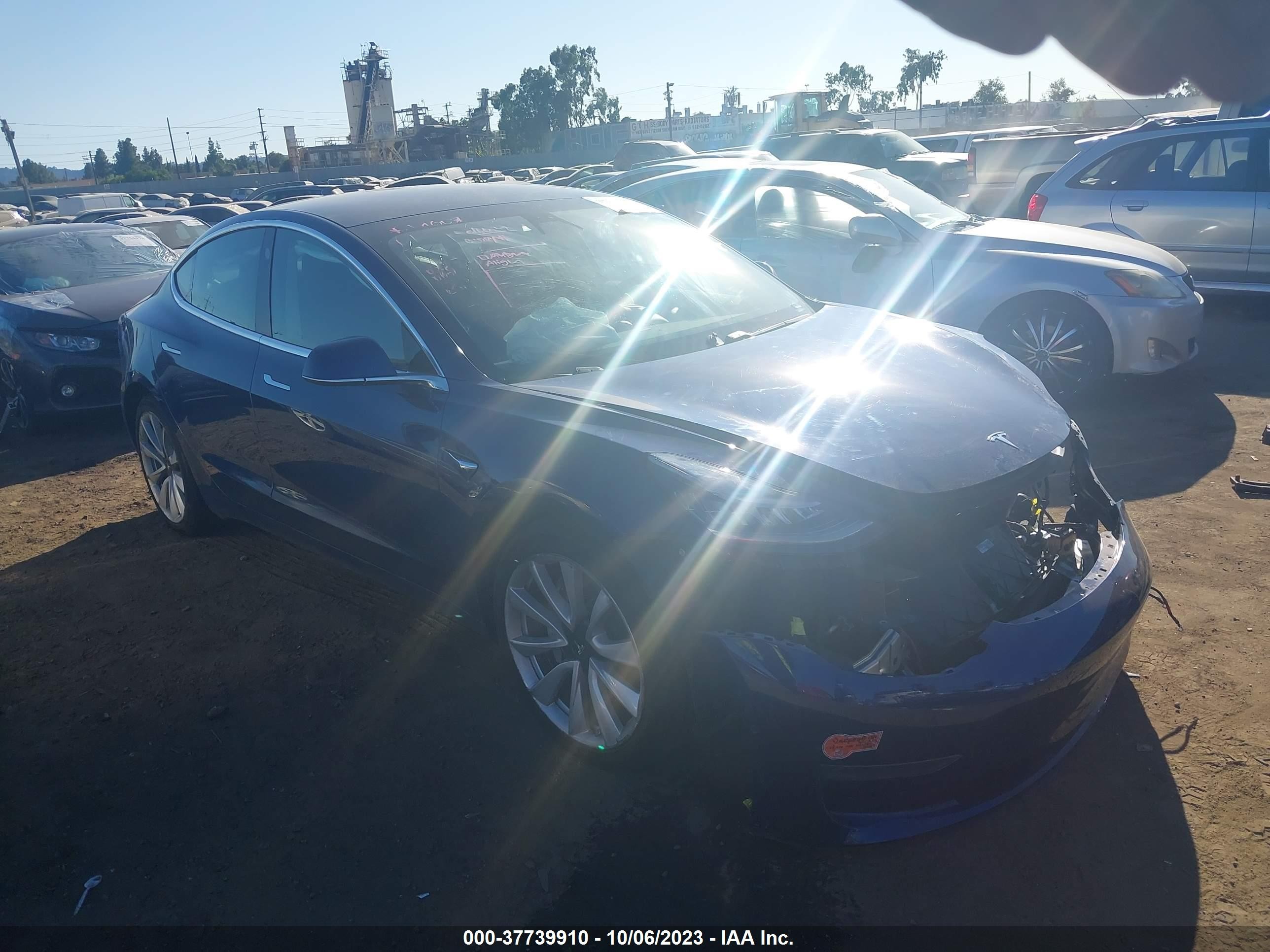 2019 tesla model 3