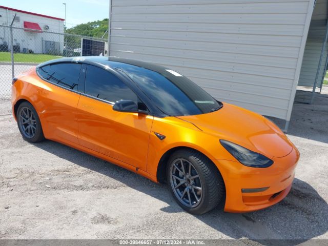 2019 TESLA Model 3