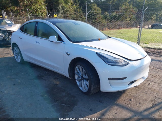 2019 tesla model 3