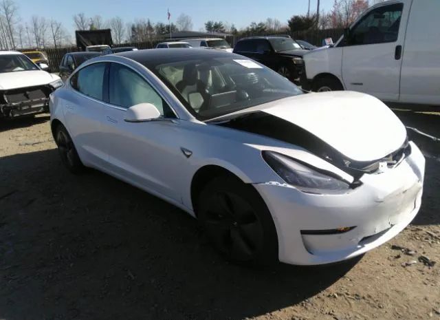 2019 tesla model 3