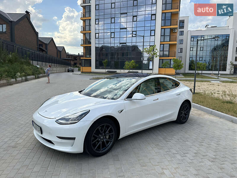2019 tesla model 3