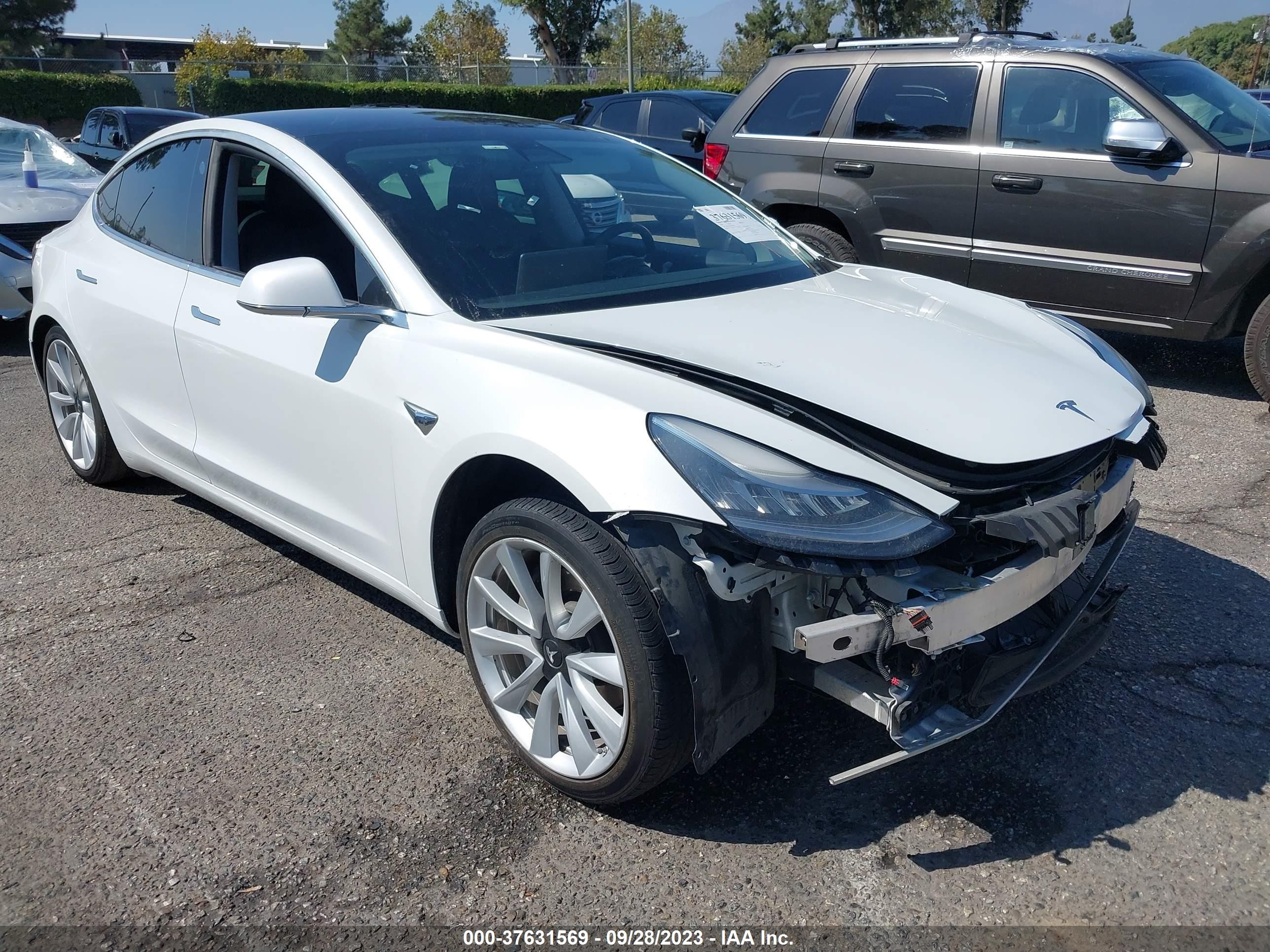 2019 tesla model 3