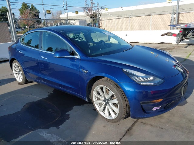 2019 tesla model 3