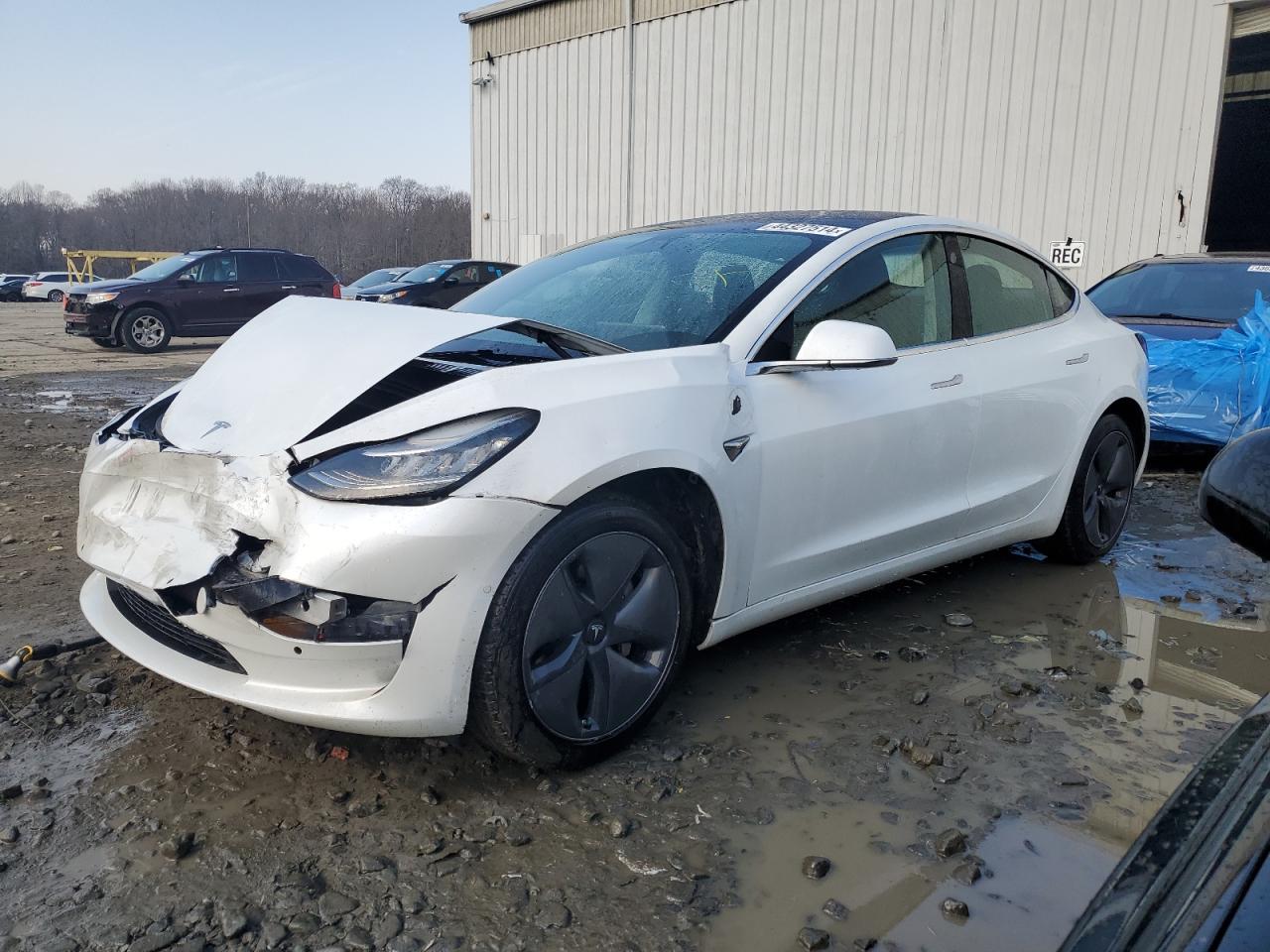 2019 tesla model 3
