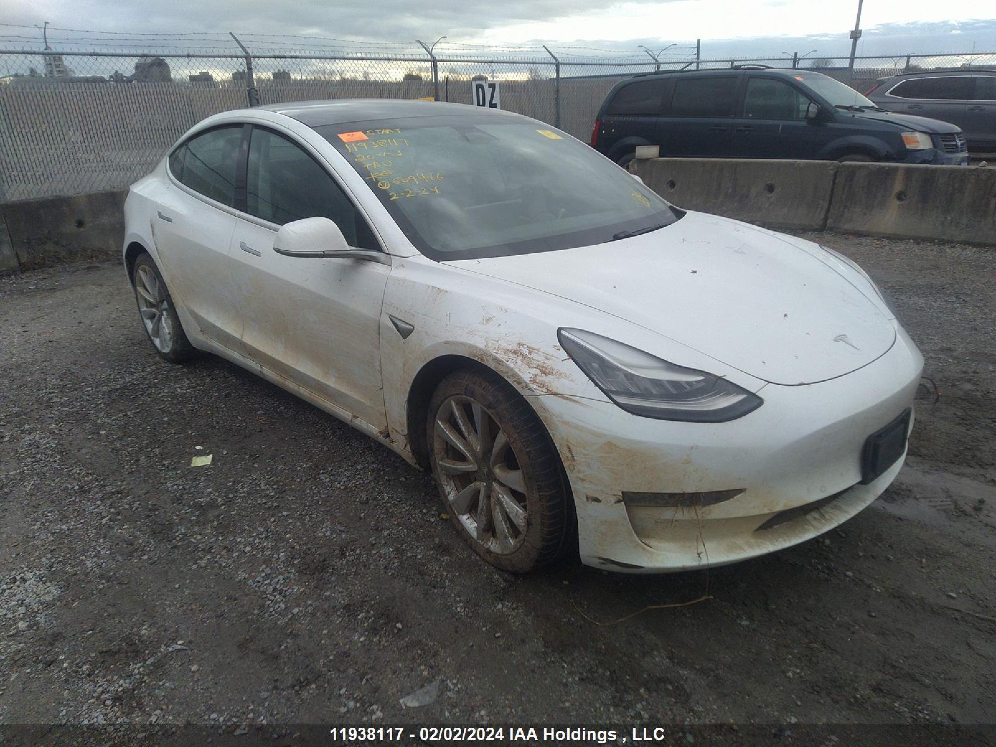 2019 tesla model 3