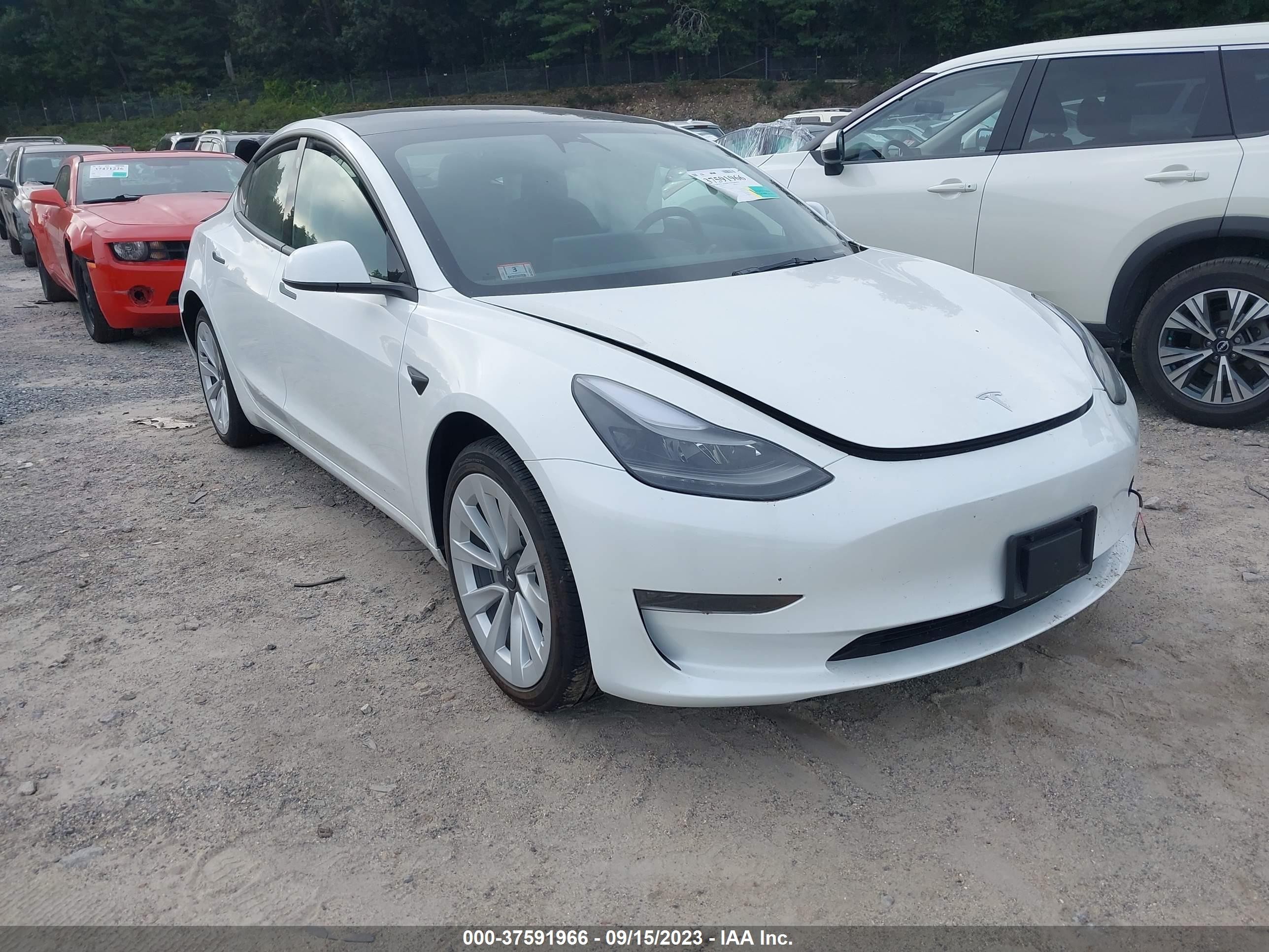 2023 tesla model 3