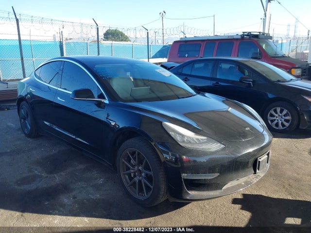 2019 tesla model 3