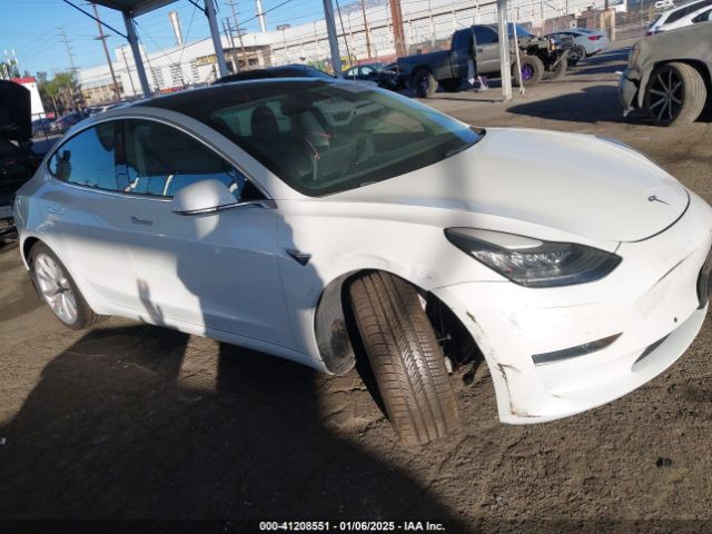 2019 TESLA Model 3