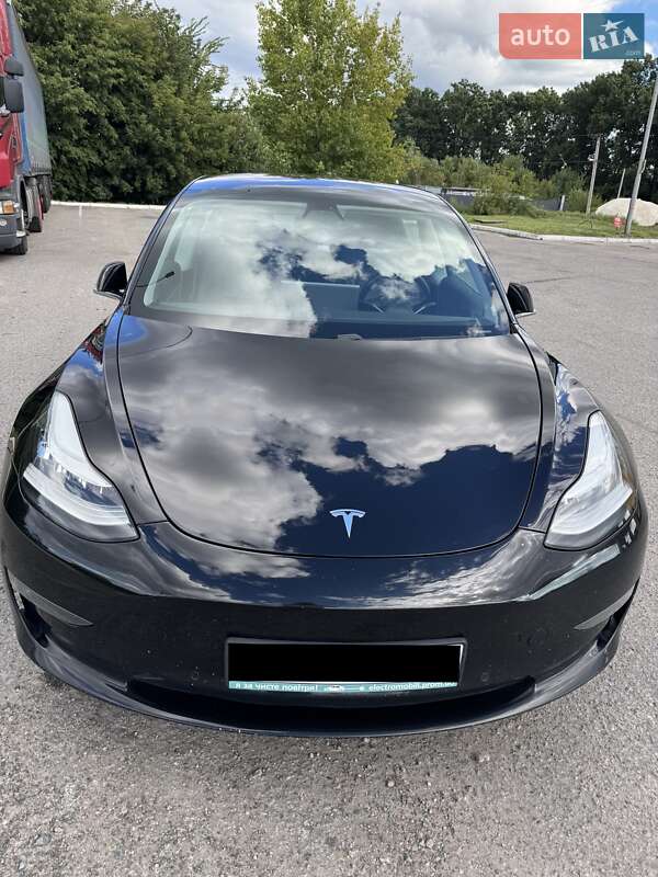 2019 tesla model 3