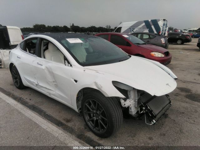 2019 tesla model 3