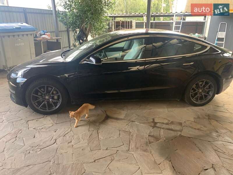 2019 tesla model 3