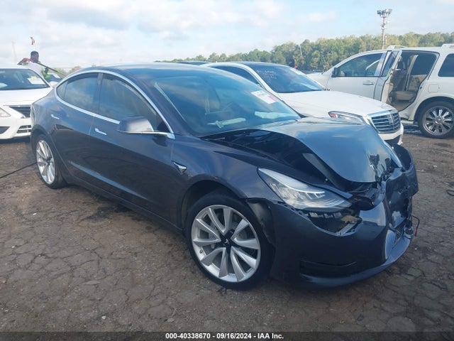 2019 tesla model 3