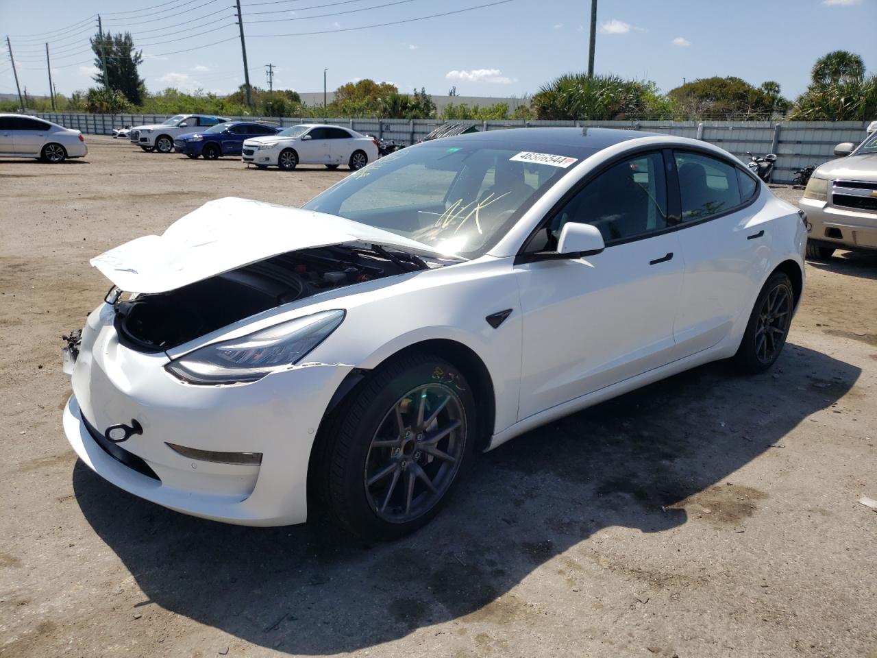 2019 tesla model 3