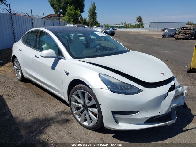 2019 tesla model 3