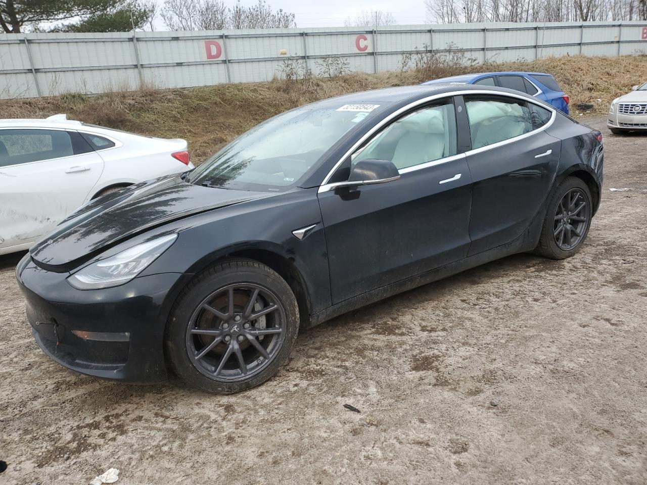 2019 tesla model 3