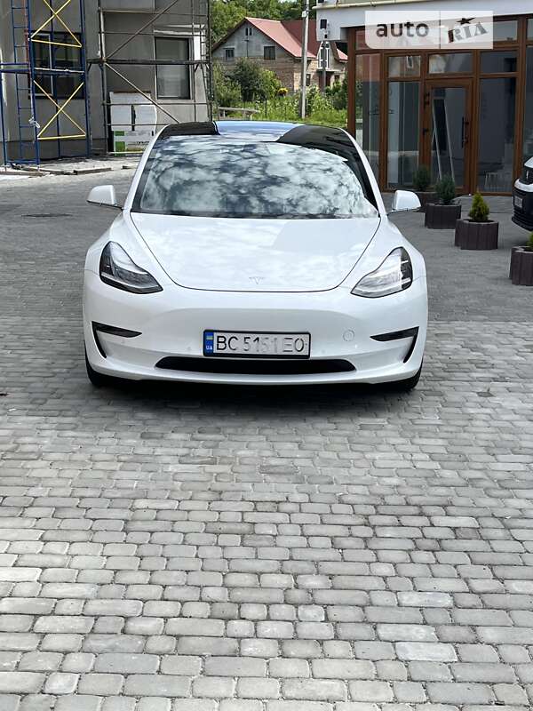 2019 tesla model 3