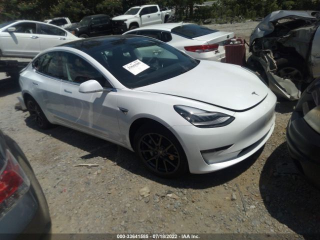 2019 tesla model 3