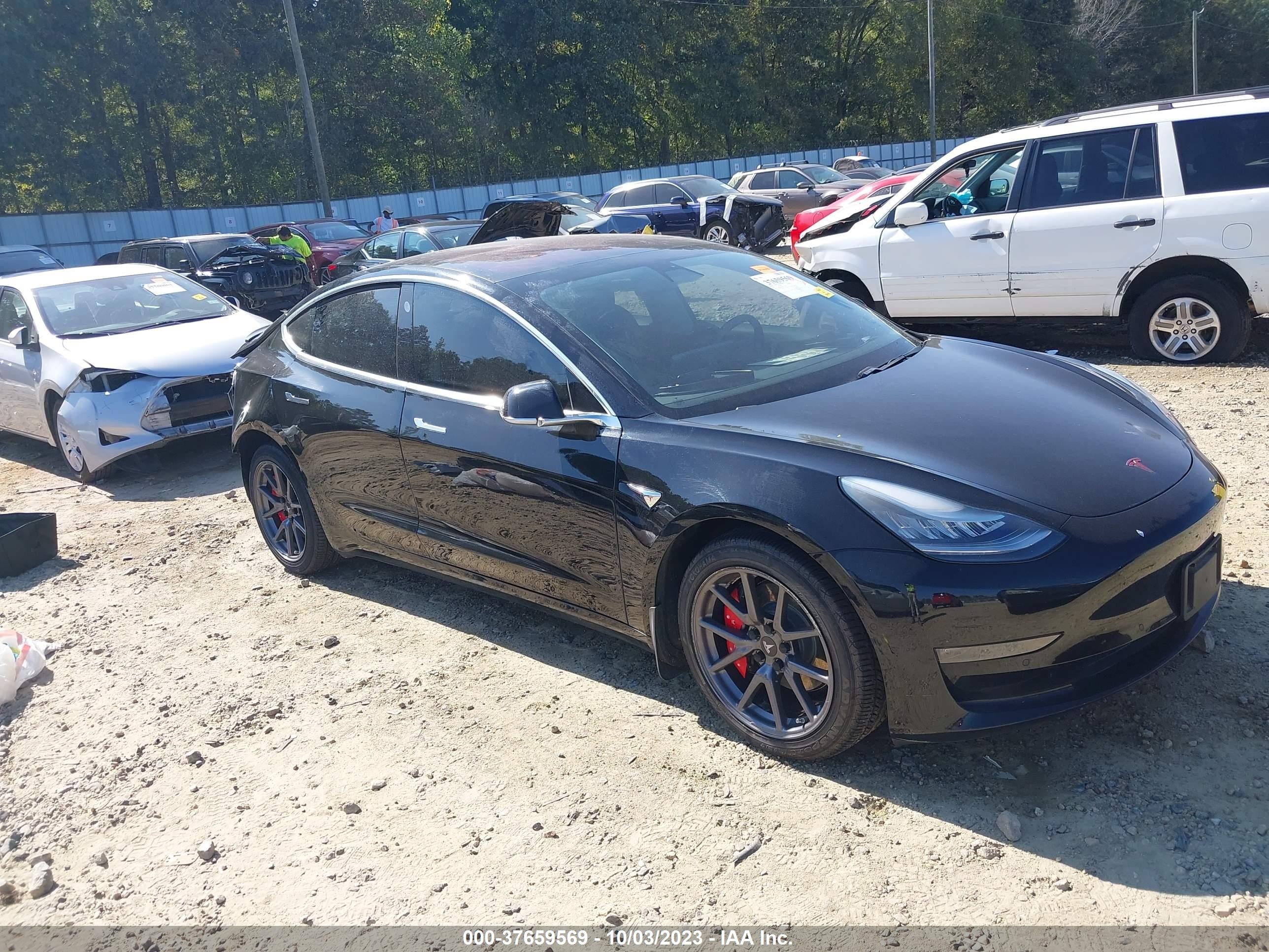 2019 tesla model 3
