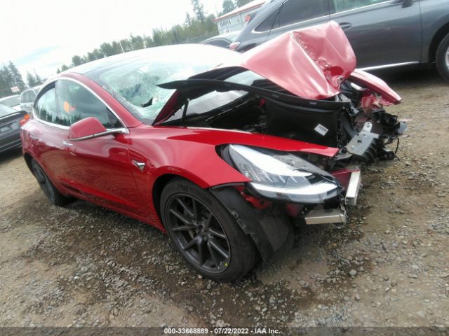 2019 tesla model 3