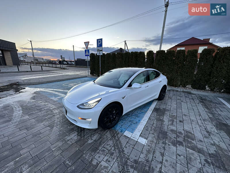 2019 tesla model 3