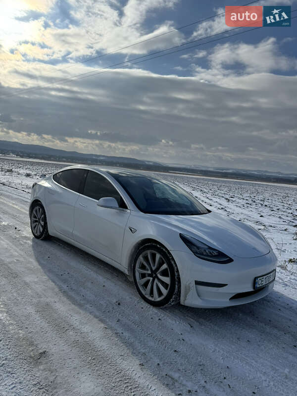 2019 tesla model 3