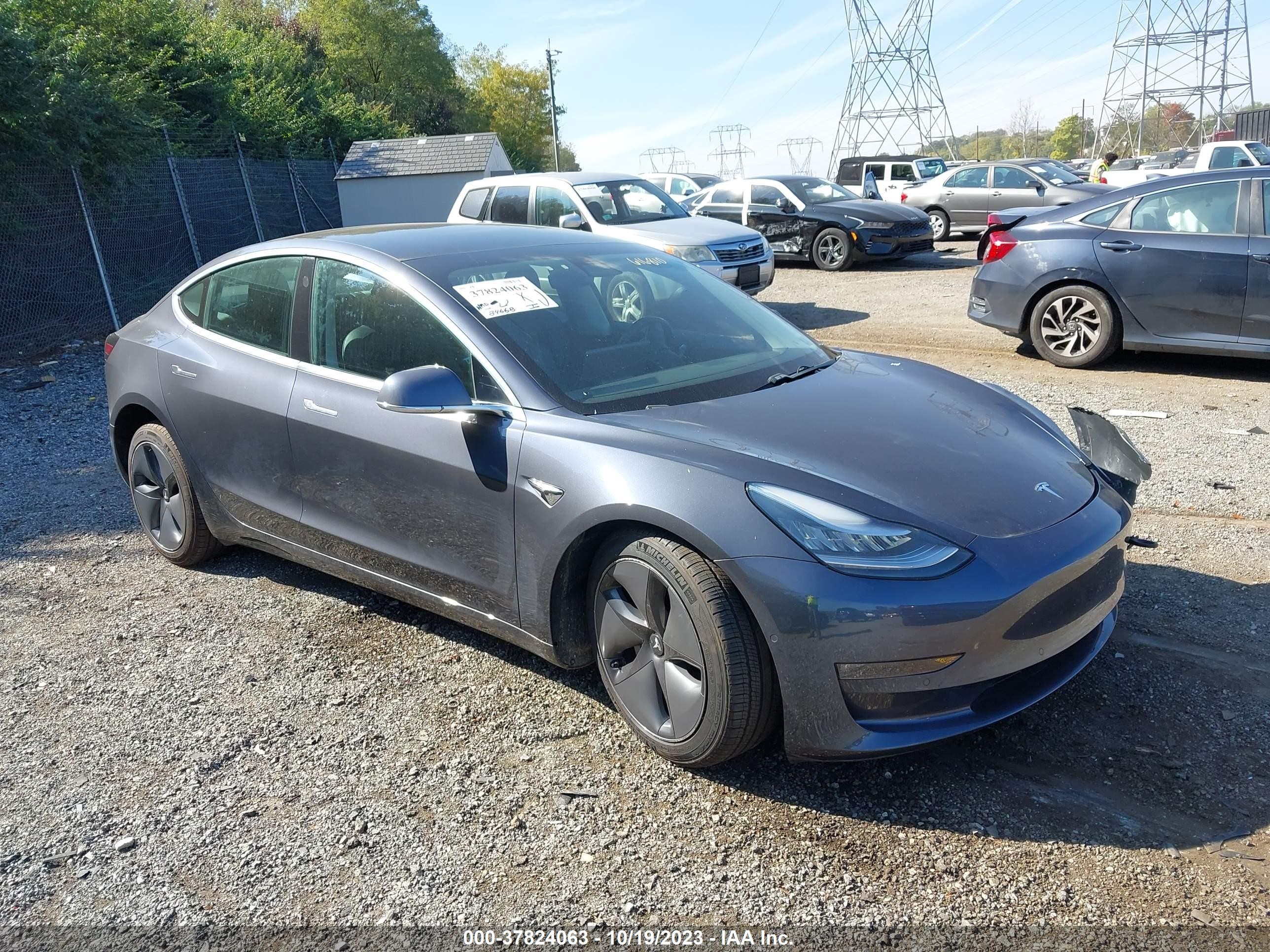 2019 tesla model 3