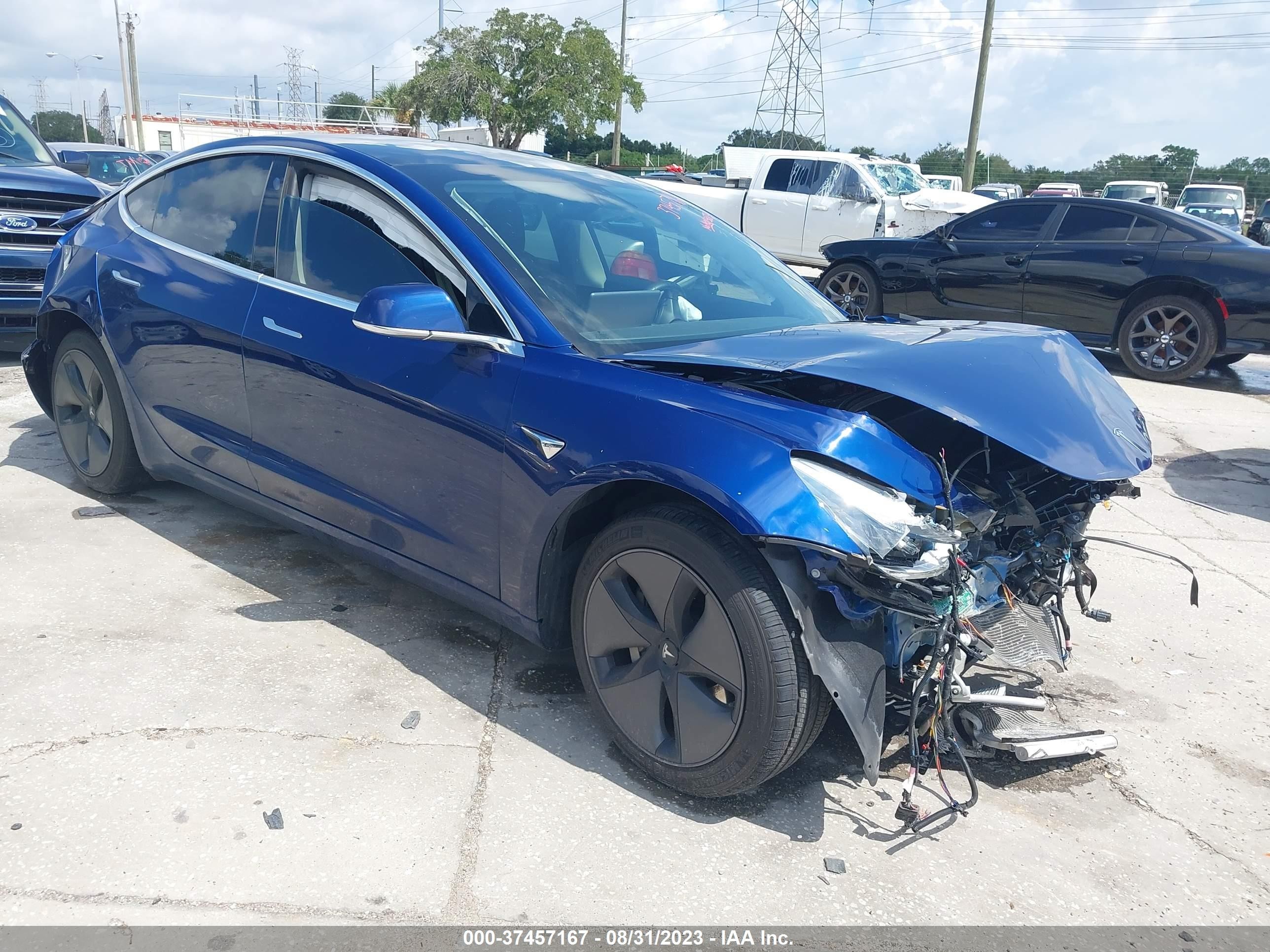 2019 tesla model 3