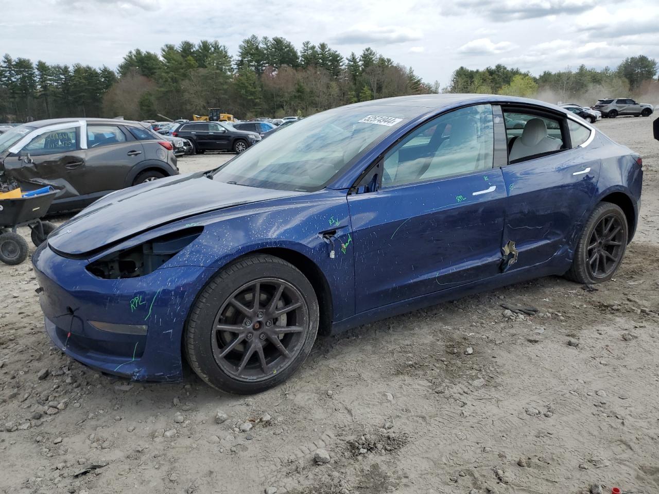 2019 tesla model 3