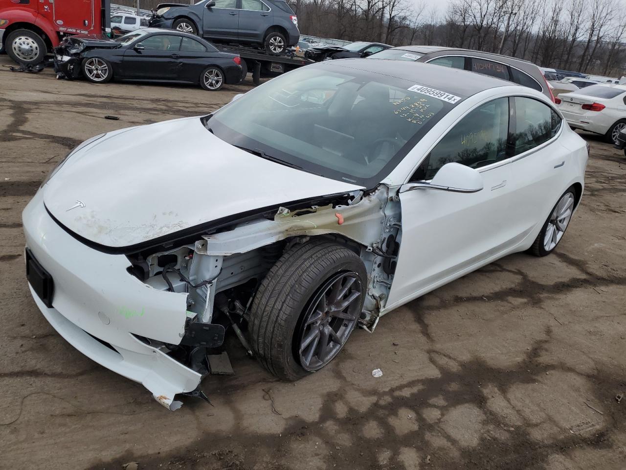 2019 tesla model 3