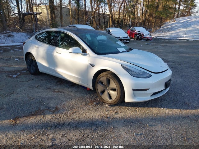 2019 tesla model 3