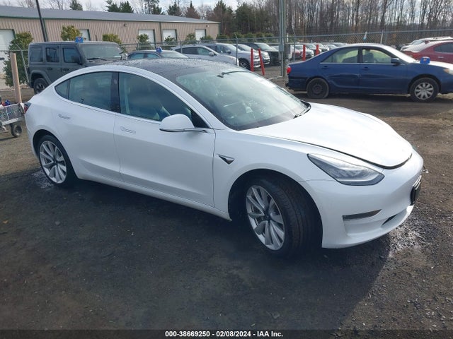 2019 tesla model 3