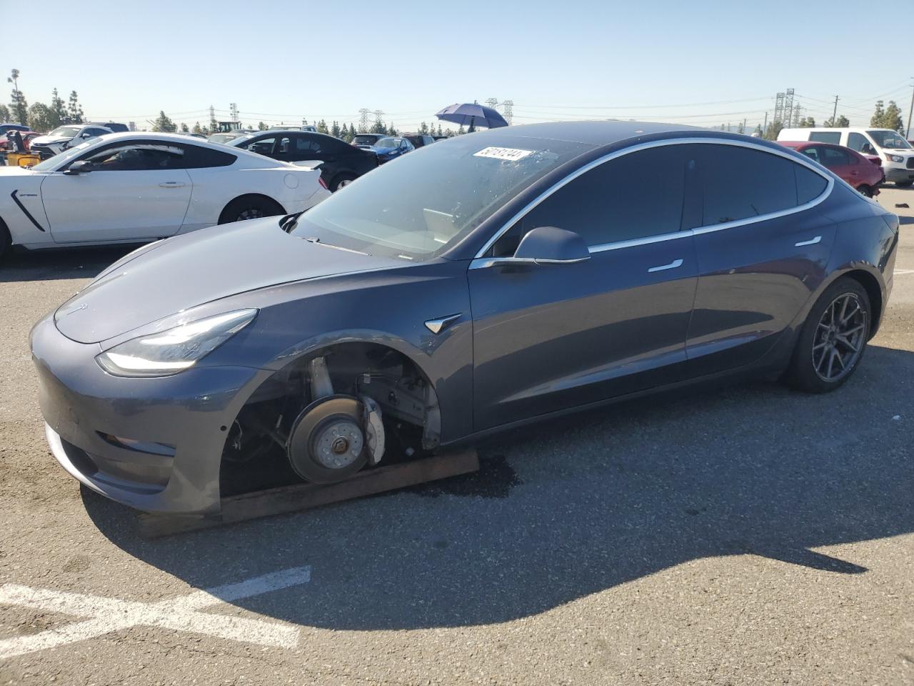 2019 tesla model 3