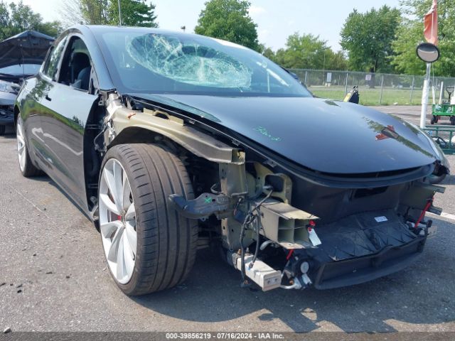 2019 TESLA Model 3
