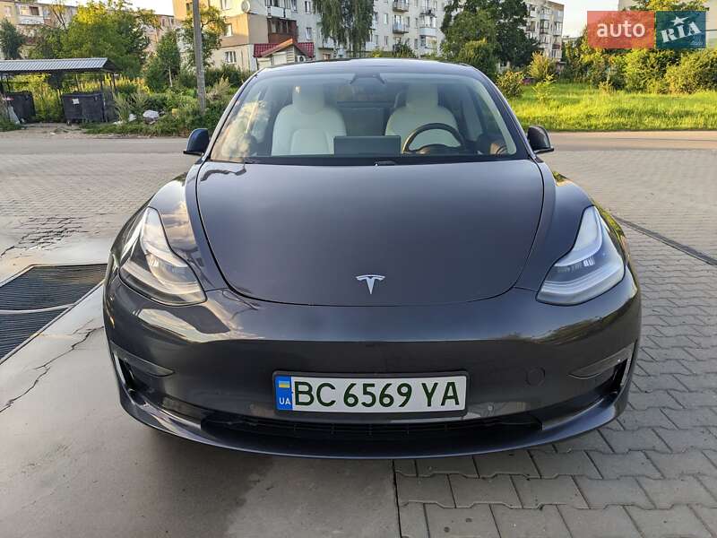 2019 tesla model 3