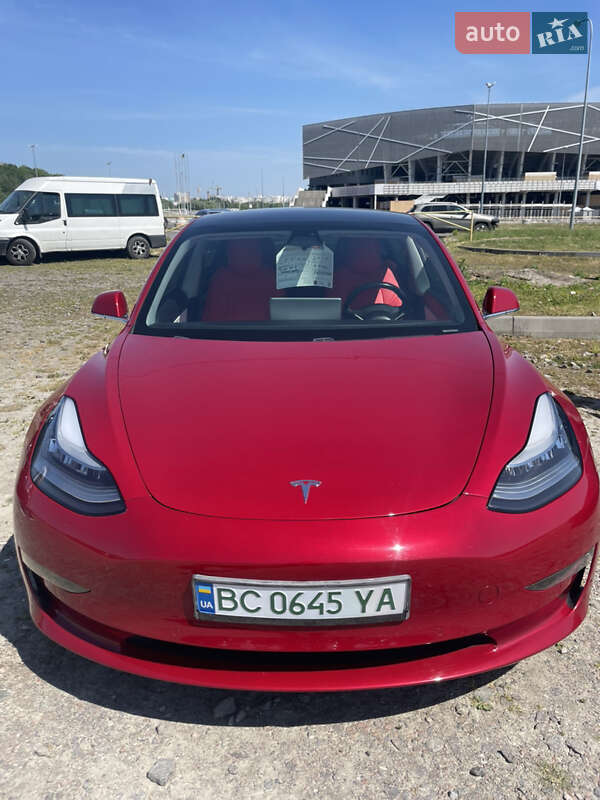 2019 tesla model 3
