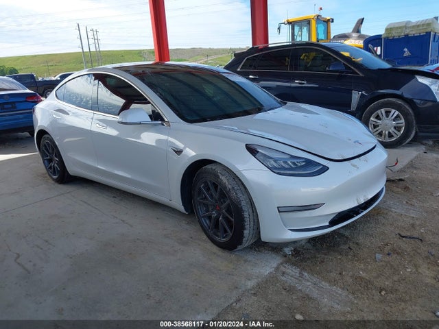 2019 tesla model 3