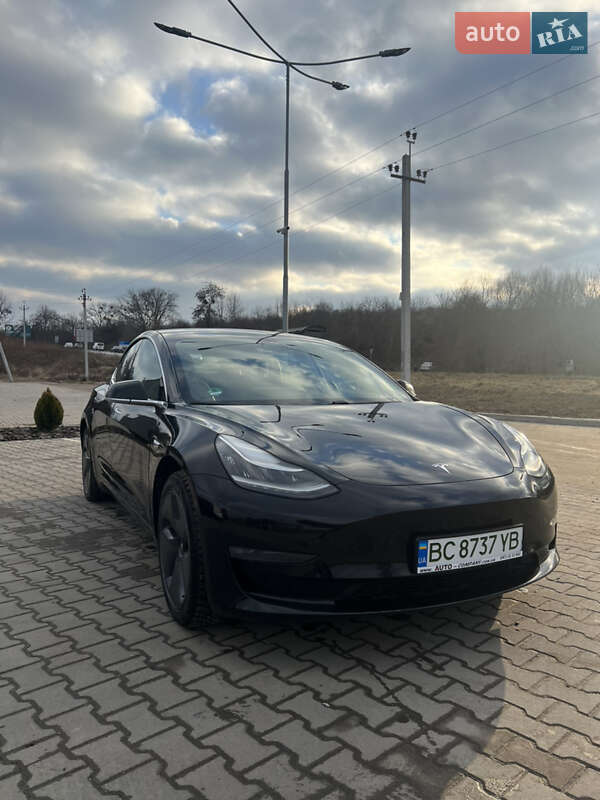 2019 tesla model 3