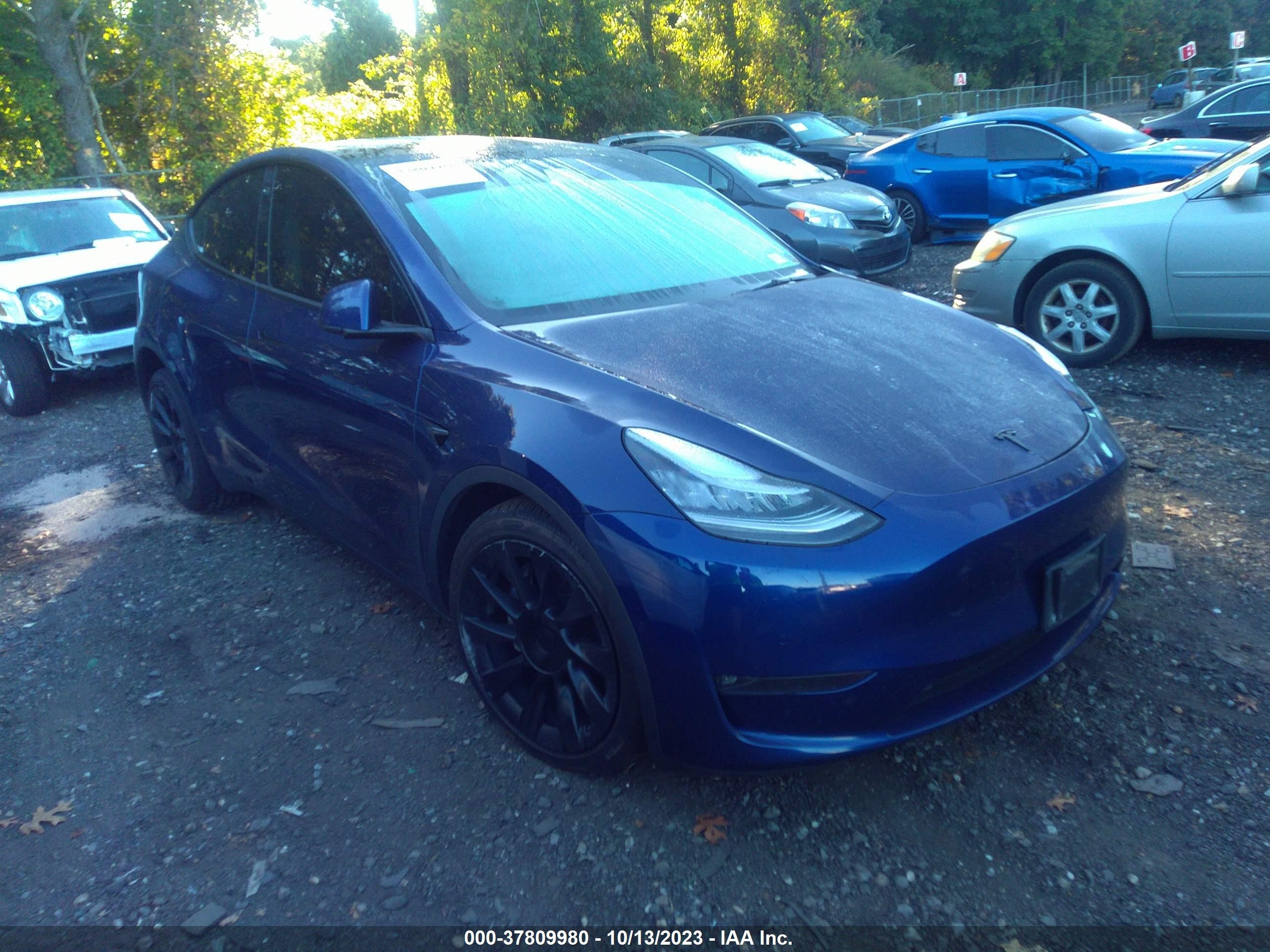 2021 tesla model y