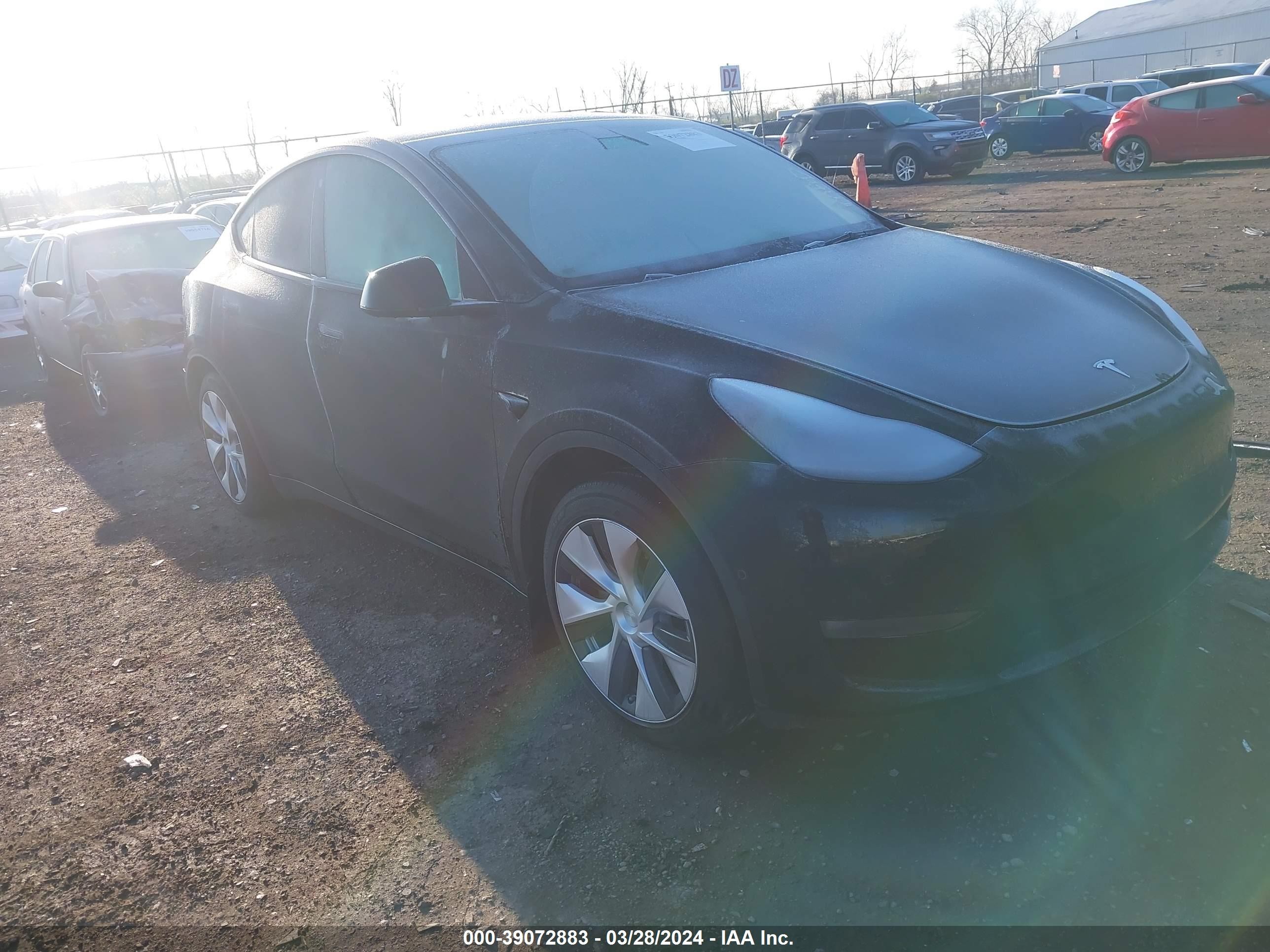 2021 tesla model y
