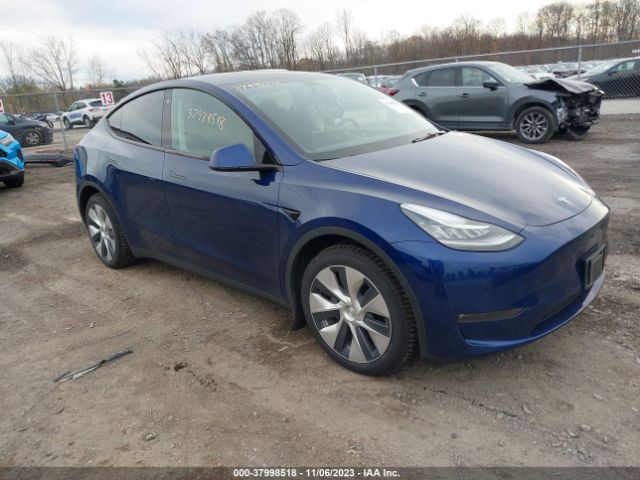 2021 tesla model y