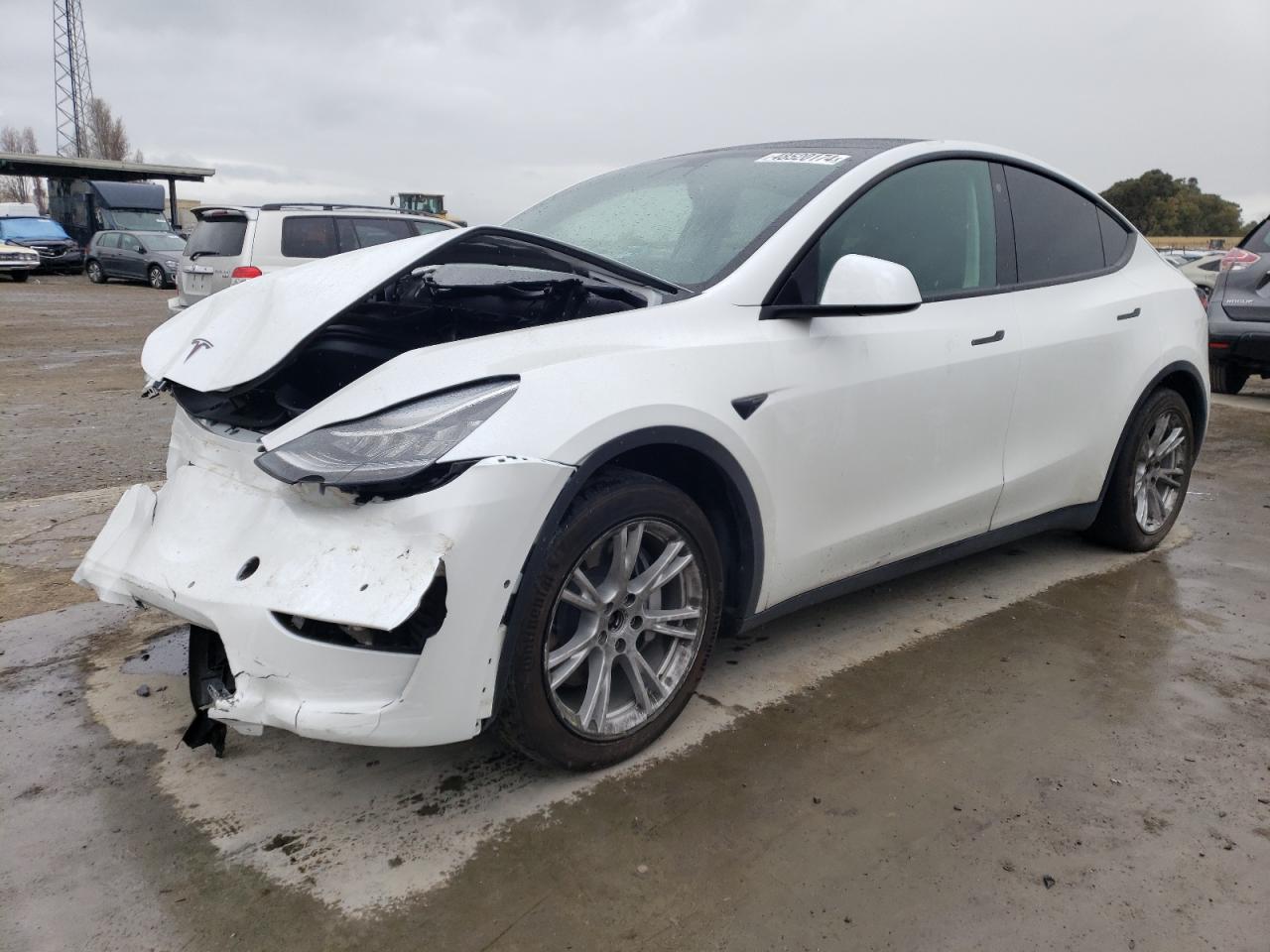 2021 TESLA Model Y