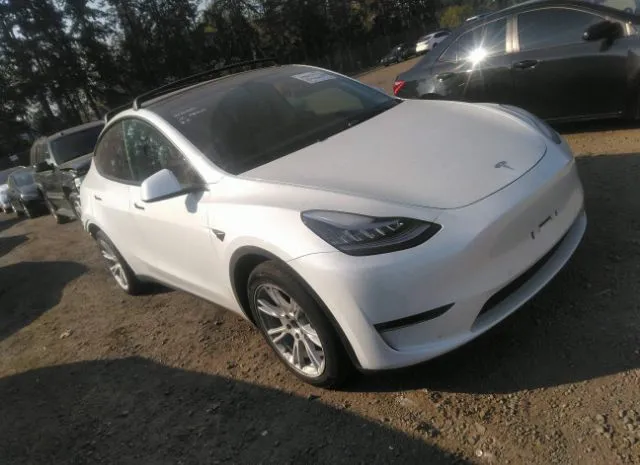 2021 tesla model y